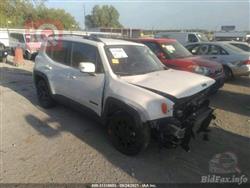 جيب رينيجيد